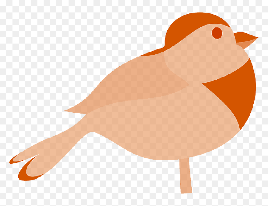 Robin Bird Silhouette - Bird Clip Art, HD Png Download - bird gif png