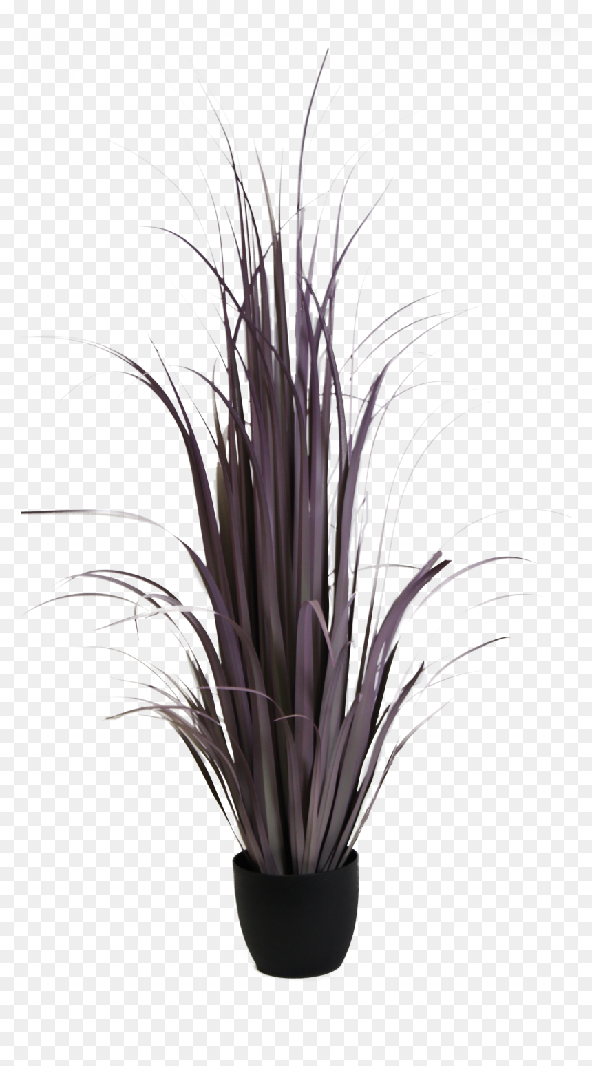 Transparent White Grass Png - Grass, Png Download - black grass png