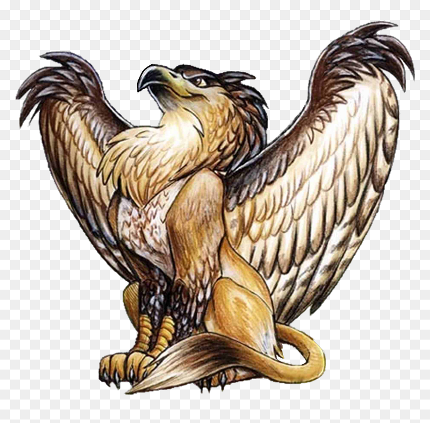Gryf Tatuaż, HD Png Download - gryphon png