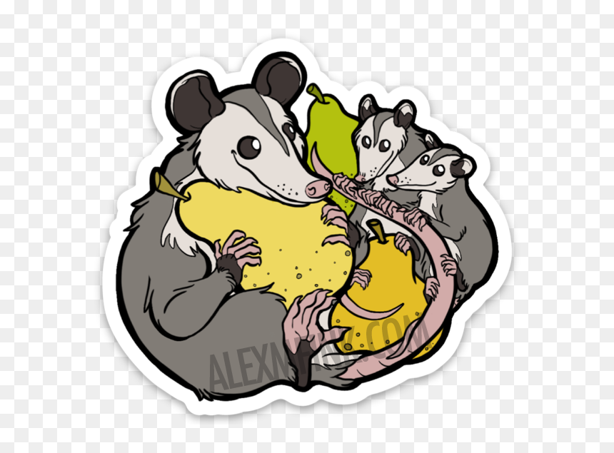 Opossum Family With Pears - Cartoon, HD Png Download - rat fink png