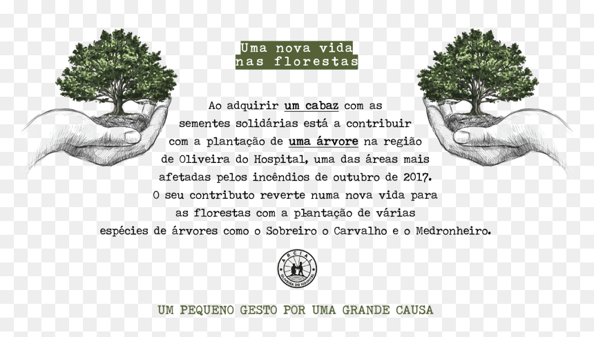 100 Days Blank Sketchbook - Texto A Vida Da Floresta, HD Png Download - texto png