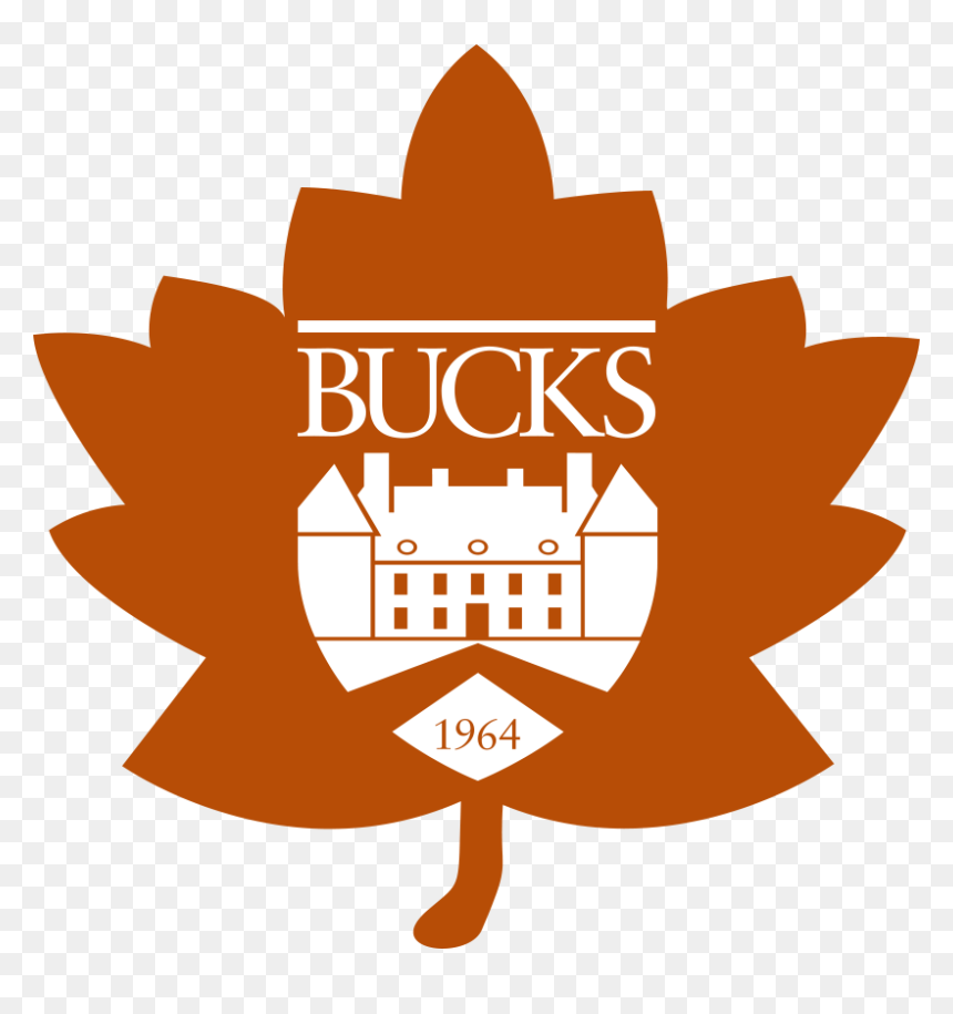Transparent Computer Networking Png - Bucks County Community College Fall, Png Download - bucks png