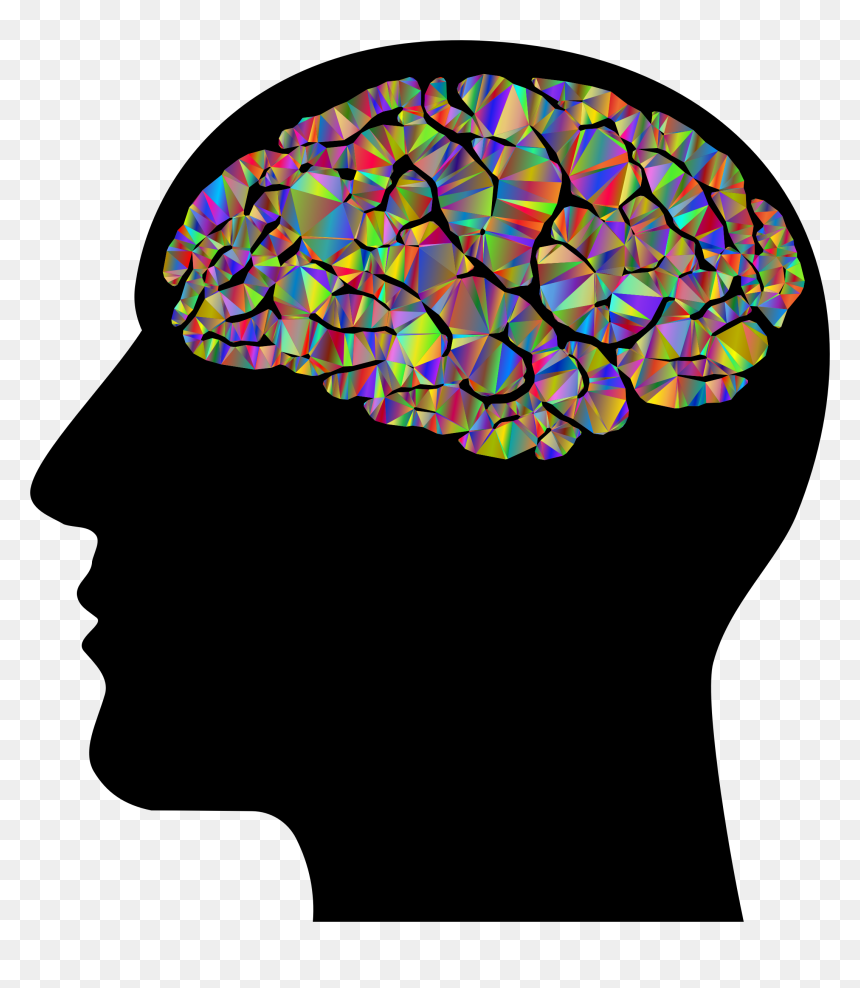Brain Silhouette Low Poly Man - Мозг Человека Пнг, HD Png Download - brain silhouette png
