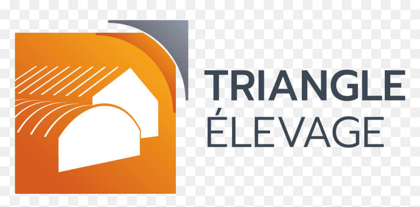 Le Triangle Elevage, HD Png Download - 80s triangle png