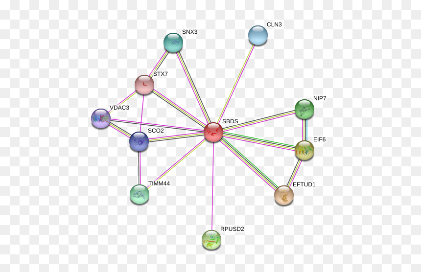 Sbds Protein - Circle, HD Png Download - 80s triangle png