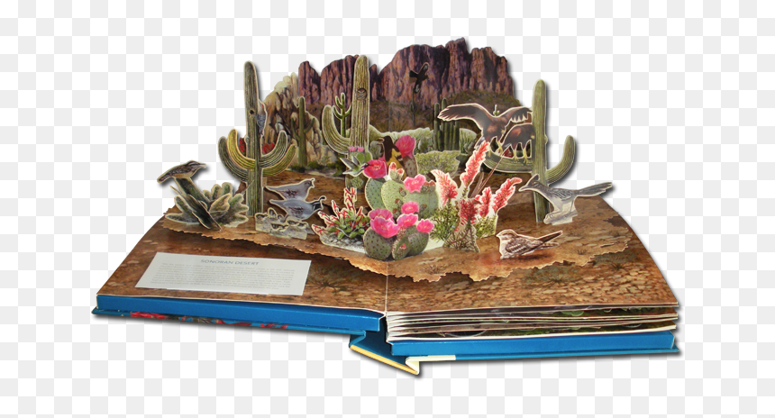 Sonoran Desert Smaller, HD Png Download - pop up png