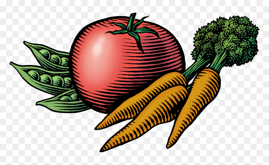 Transparent Carrot Clipart Png - Farmers Market Images Clip Art, Png Download - vegetables clipart png