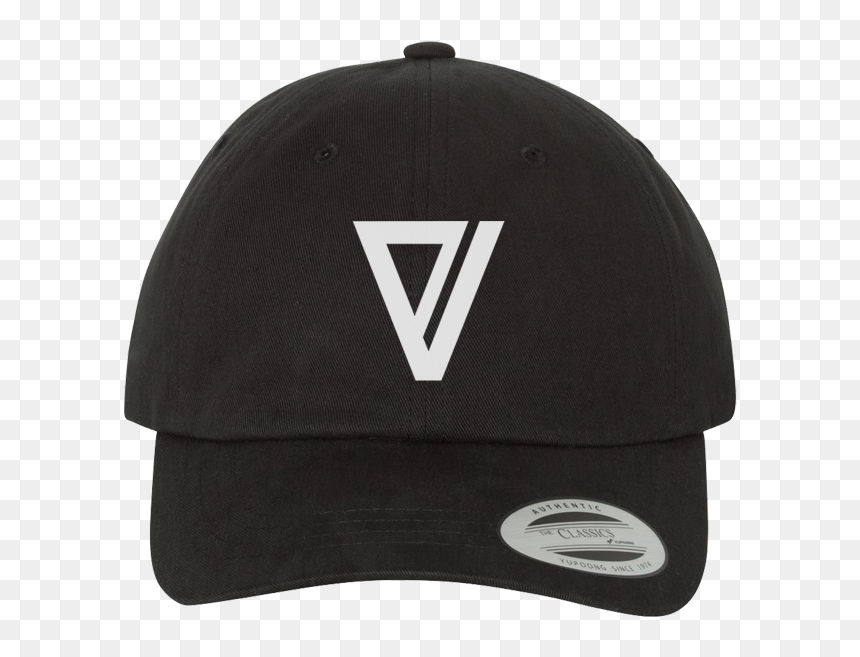 Ev Icon Embroidered Dad Cap - Nf Snapback Hat, HD Png Download - lifestyle icon png