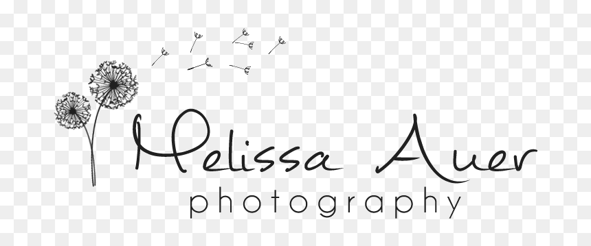 Lasagrada, HD Png Download - mickey mouse banner png