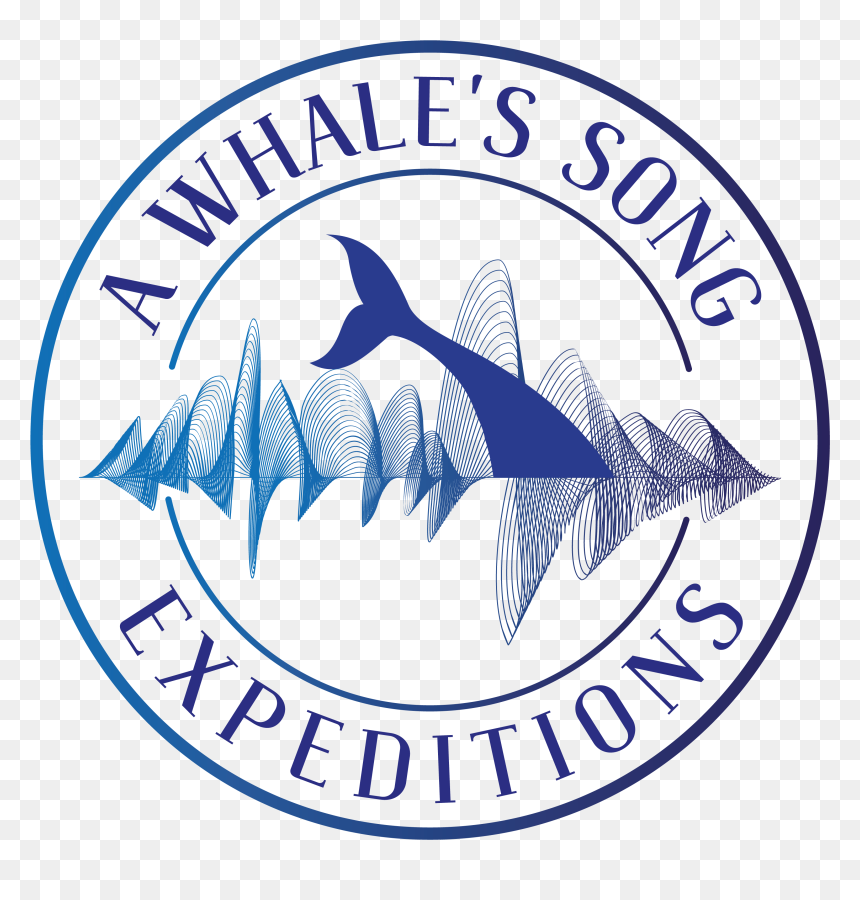 Transparent Whales Png - Foundation Celtic Logo, Png Download - first responders png