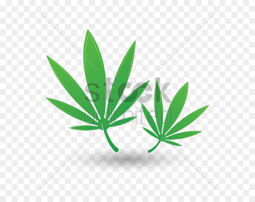 Leaf Clipart , Png Download - Illustration, Transparent Png - pot leaf outline png