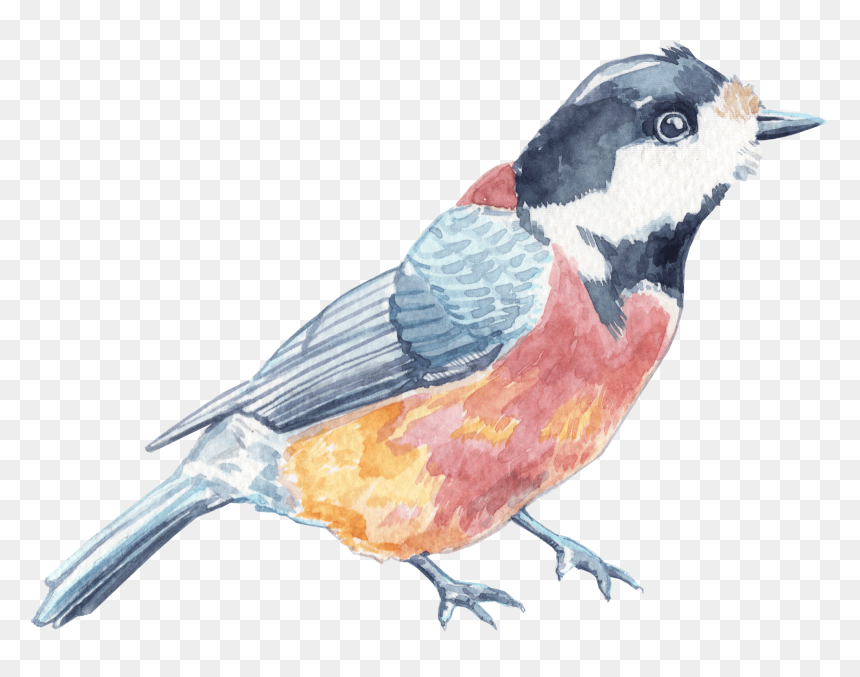Transparent Pencil Scribble Png, Png Download - pencil scribble png