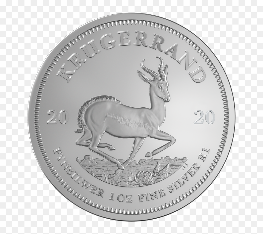 1 Oz Krugerrand 2020 Silver Coin - Silver, HD Png Download - coin vector png