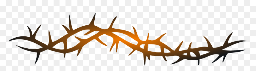 Thorn Vine Png, Transparent Png - keep out png