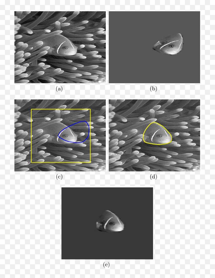Graphic Design, HD Png Download - warp png
