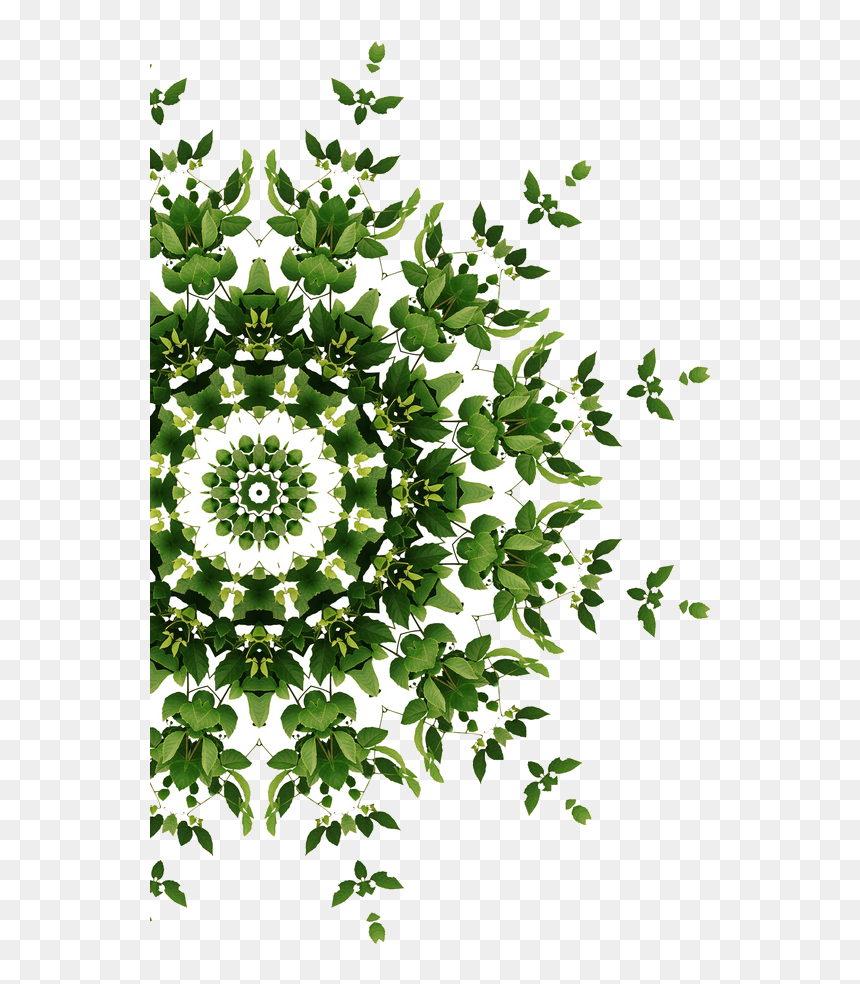 Transparent Partial Mandala Cropped - Mother Nature Cbd Oil, HD Png Download - mandala png transparent