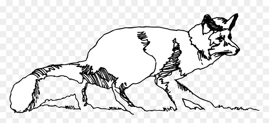 Fox Png Sketch, Transparent Png - grass drawing png