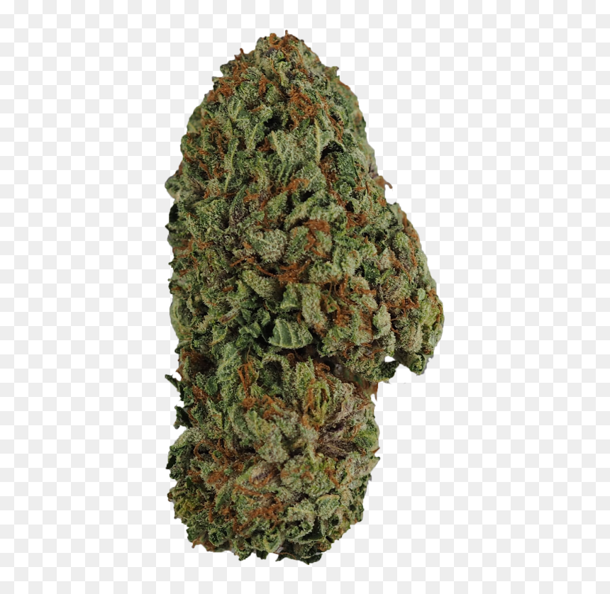 Thumb Image - Bigtree, HD Png Download - kush png