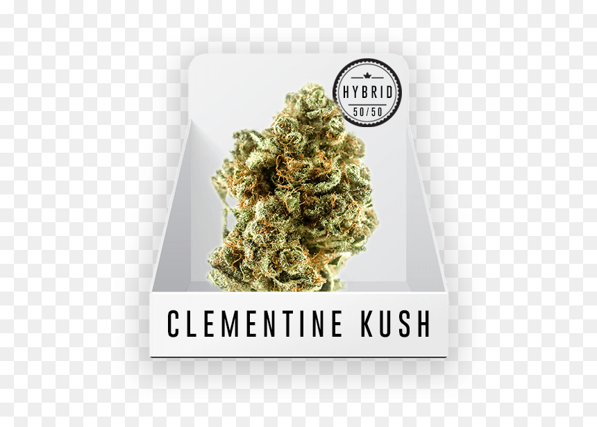 Yellow Fir, HD Png Download - kush png