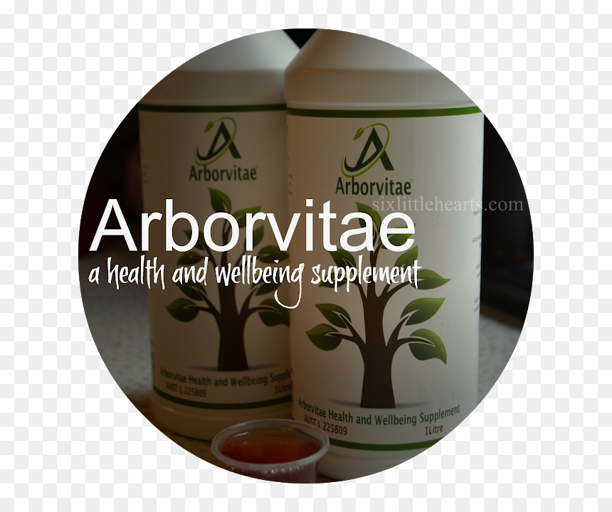 Positivity, HD Png Download - arborvitae png