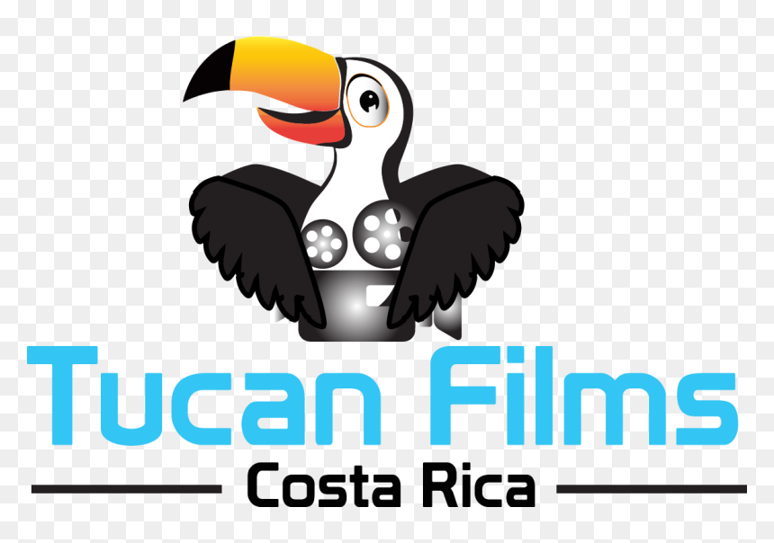 Video Camera Clipart , Png Download - Hornbill, Transparent Png - video camera clipart png