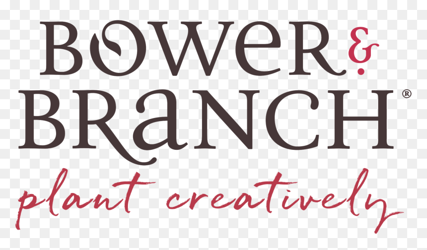 Calligraphy, HD Png Download - arborvitae png