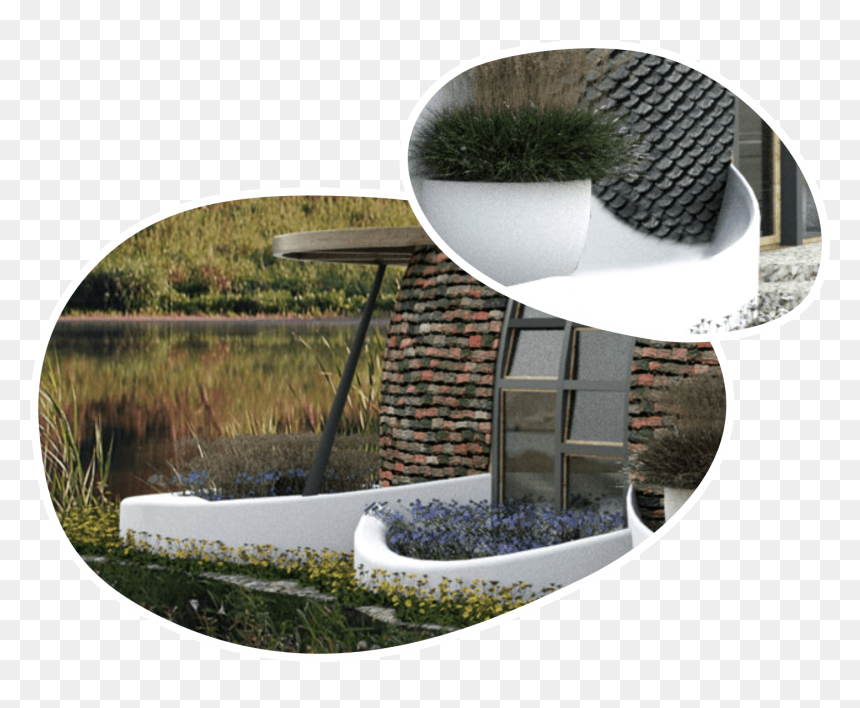 Reflection, HD Png Download - wetland plants png