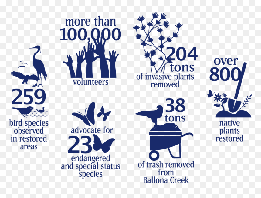 Friend’s Impact On Ballona, By The Numbers, HD Png Download - wetland plants png