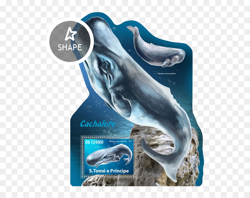 Issue Of Sao Tome And Principe Postage Stamps - Common Bottlenose Dolphin, HD Png Download - principe png