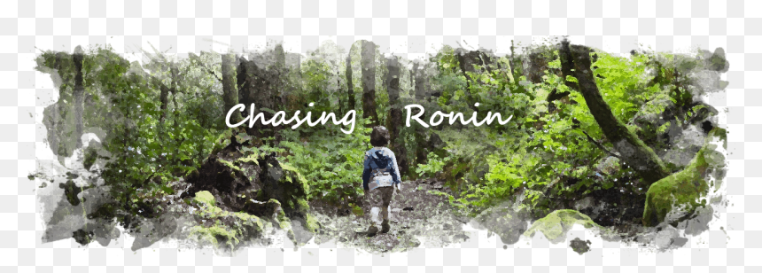 Chasing Ronin - Old-growth Forest, HD Png Download - wetland plants png