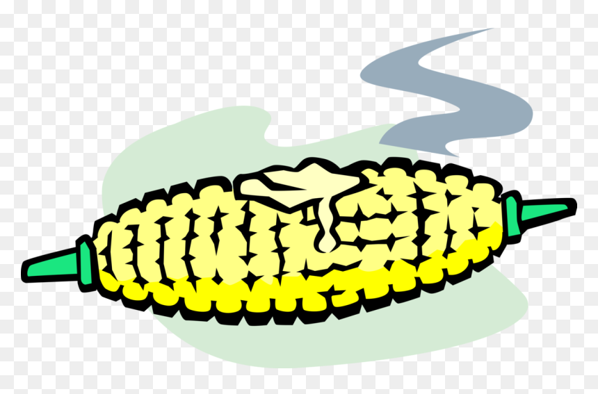 Vector Illustration Of Corn On The Cob Grain Plant - Corn On The Cob Clipart, HD Png Download - corn vector png