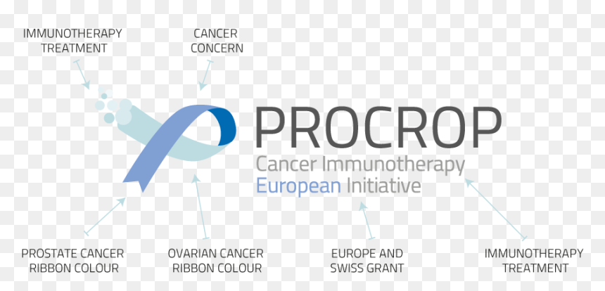 Graphic Design, HD Png Download - ovarian cancer ribbon png