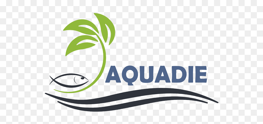 How 500 Fish Are Helping To Grow 40 Heads Of Lettuce, HD Png Download - fish .png