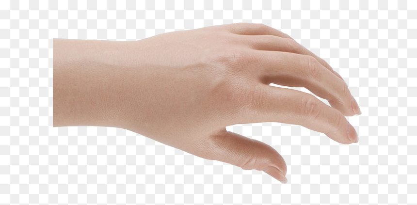 Latex, HD Png Download - female hand png