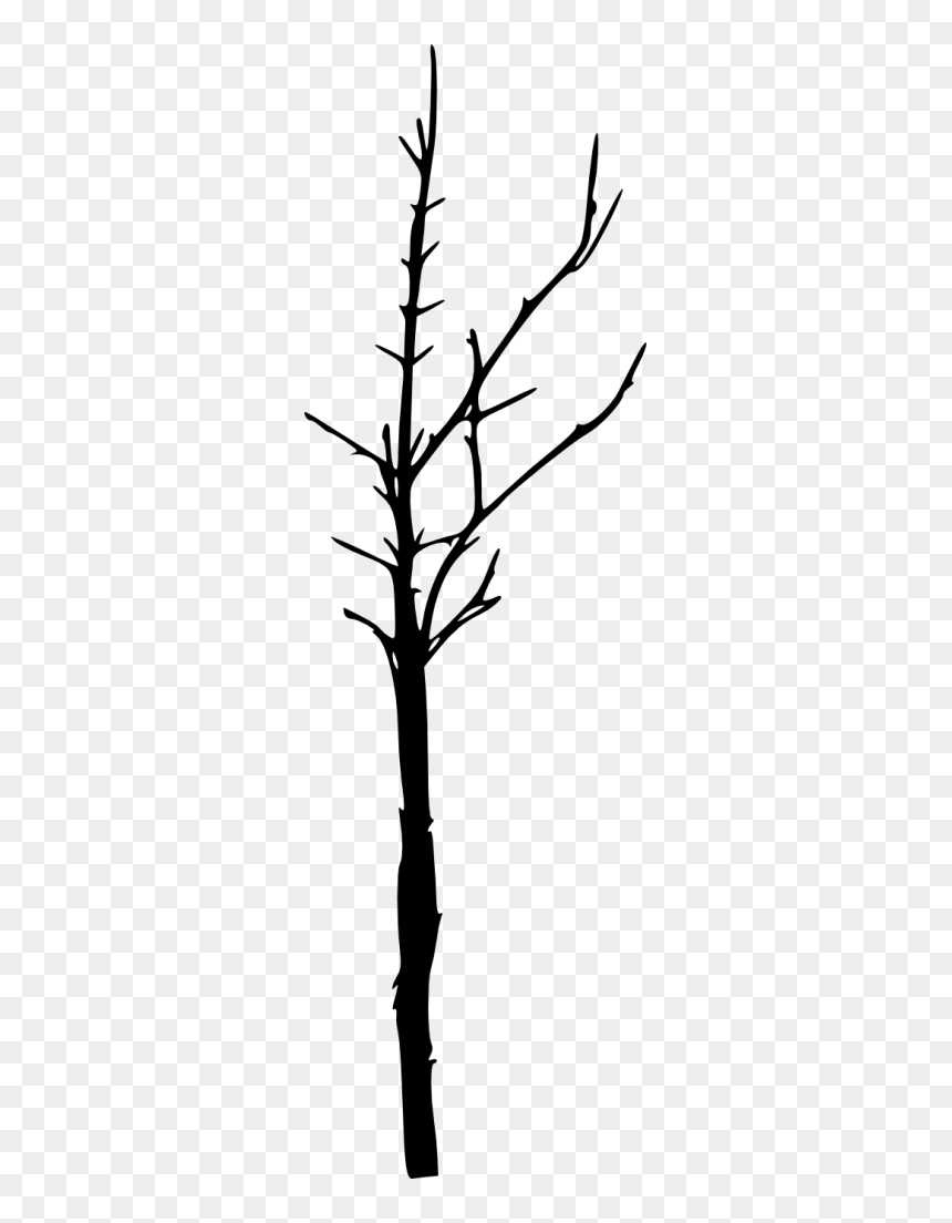 Twig, HD Png Download - bare trees png