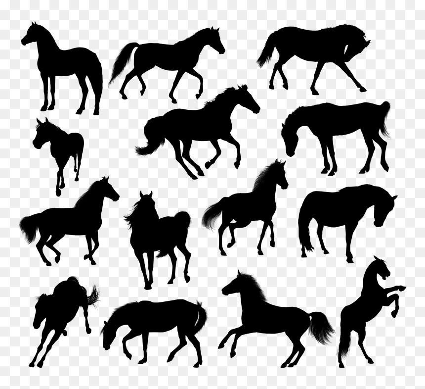 Horse, HD Png Download - running horse silhouette png
