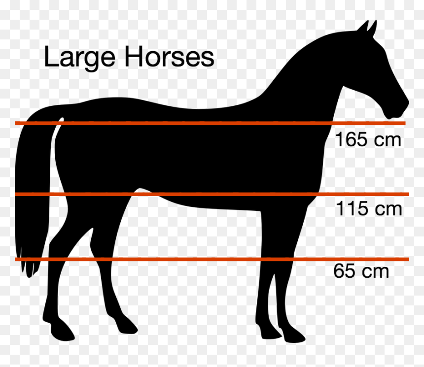Transparent Height Png - Free Horse Silhouette, Png Download - running horse silhouette png