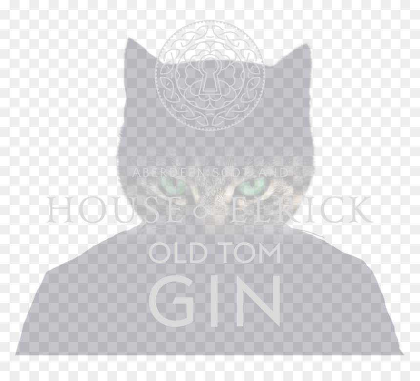 Transparent Old Banner Png - Black Cat, Png Download - old banner png