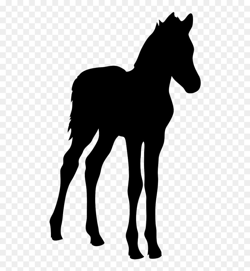 Silhouette Of Foal - Foal Silhouette, HD Png Download - running horse silhouette png