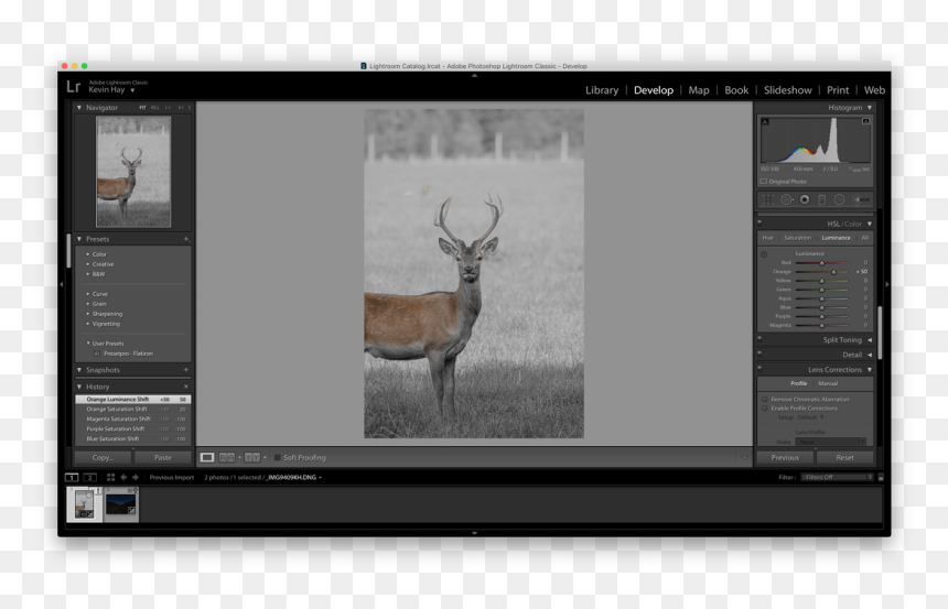 Picture - Special Effects Tab In Camera Raw, HD Png Download - turn down for what png