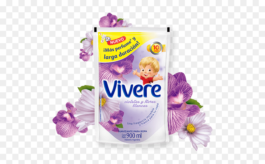 Vivere Violetas Y Flores Blancas, HD Png Download - flores blancas png