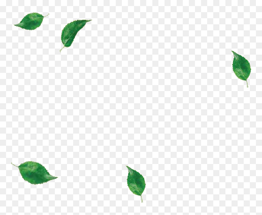 Illustration, HD Png Download - falling leaves png