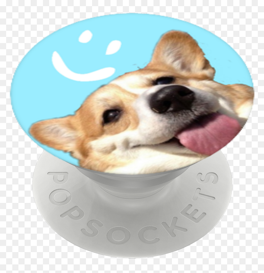 Pembroke Welsh Corgi, HD Png Download - corgi png