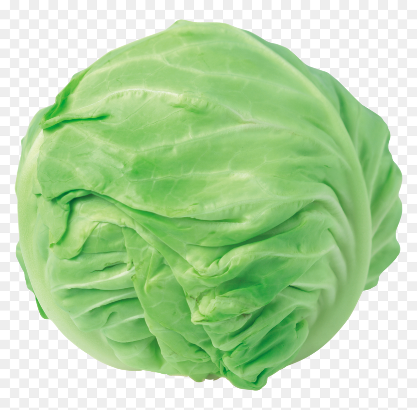 Cabbage Png Clipart, Transparent Png - wutface png