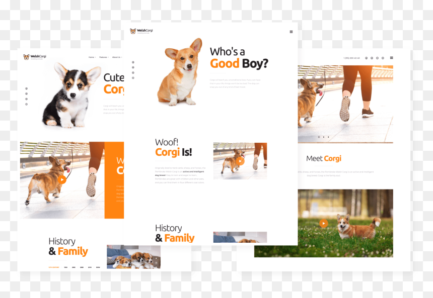 Pembroke Welsh Corgi, HD Png Download - corgi png