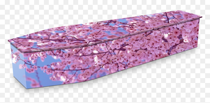 Розовый Милый Гроб, HD Png Download - coffin png