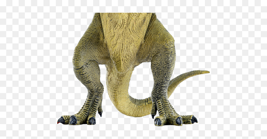 T Rex Cardboard Cutout, HD Png Download - legs png