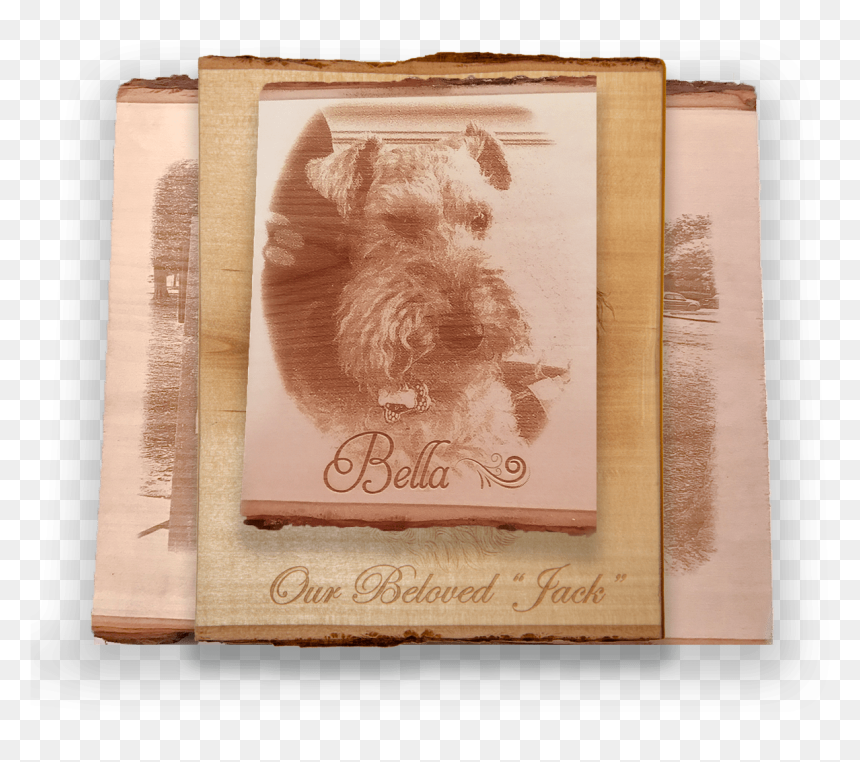 Yorkshire Terrier, HD Png Download - wood plank png