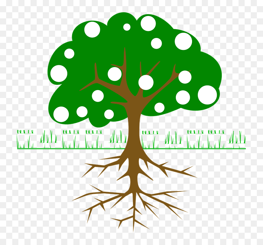 Tree Clip Art, HD Png Download - tree roots png