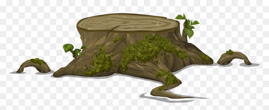 น ต้นไม้ Png, Transparent Png - tree roots png